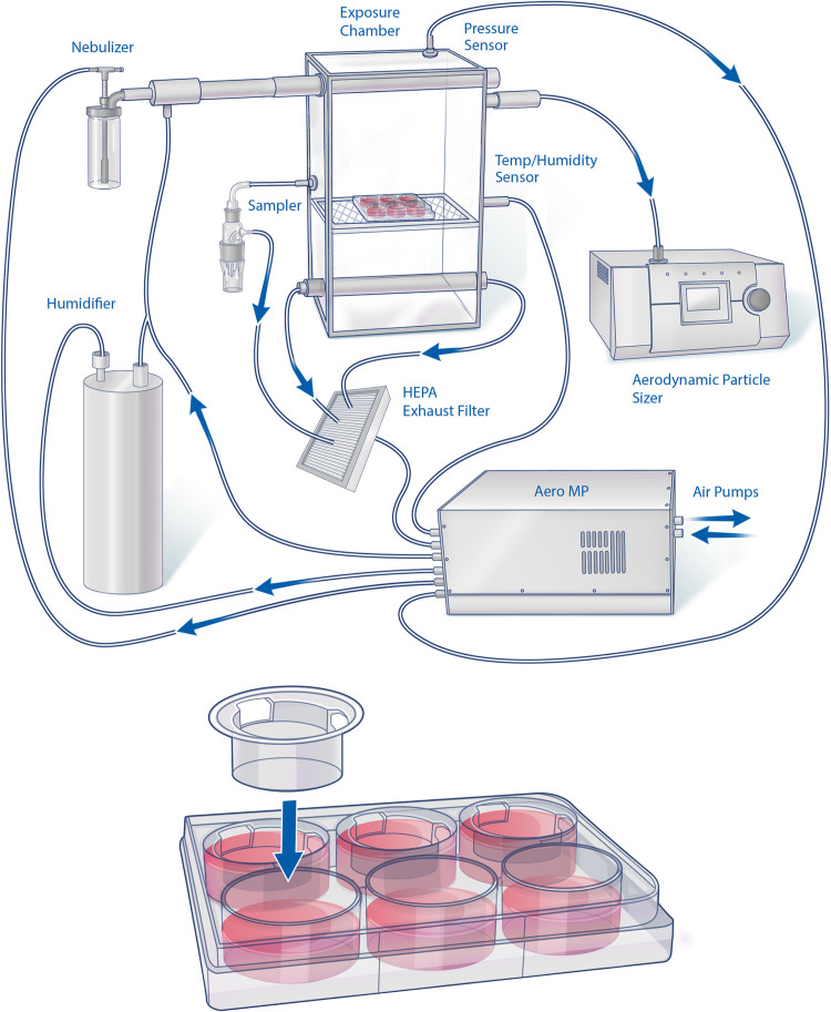 Fig. 1.