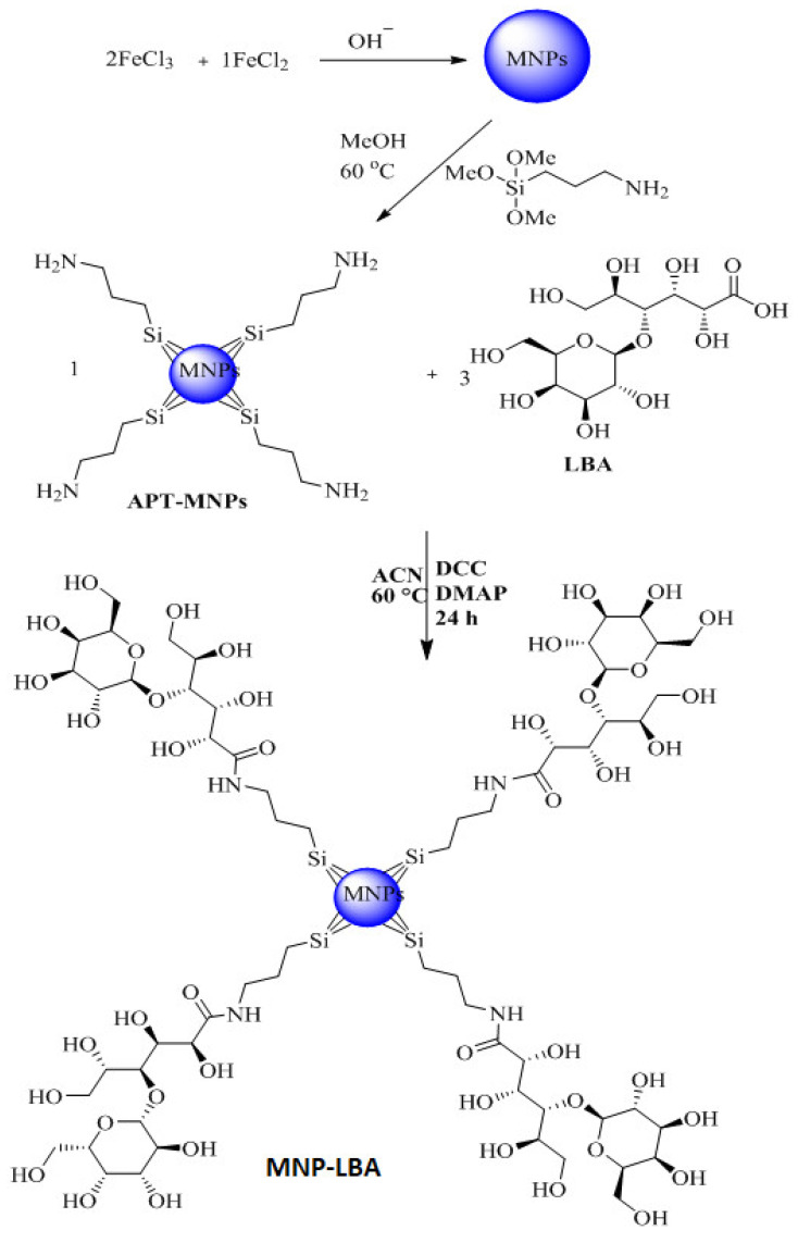 Scheme 2