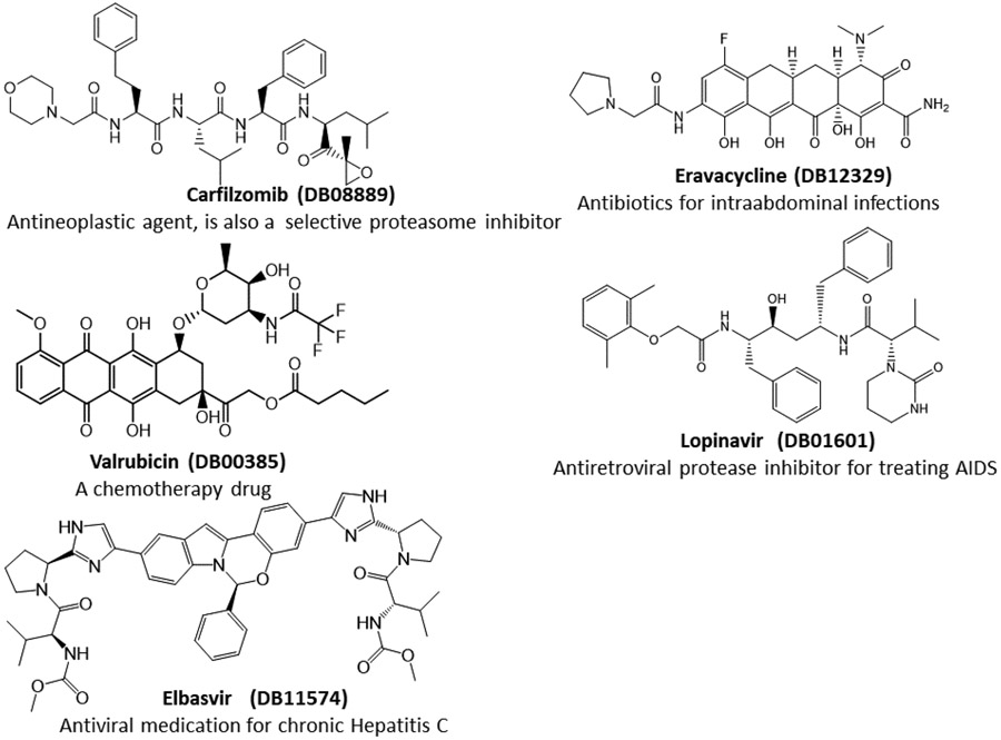 Figure 1.