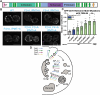 FIGURE 10: