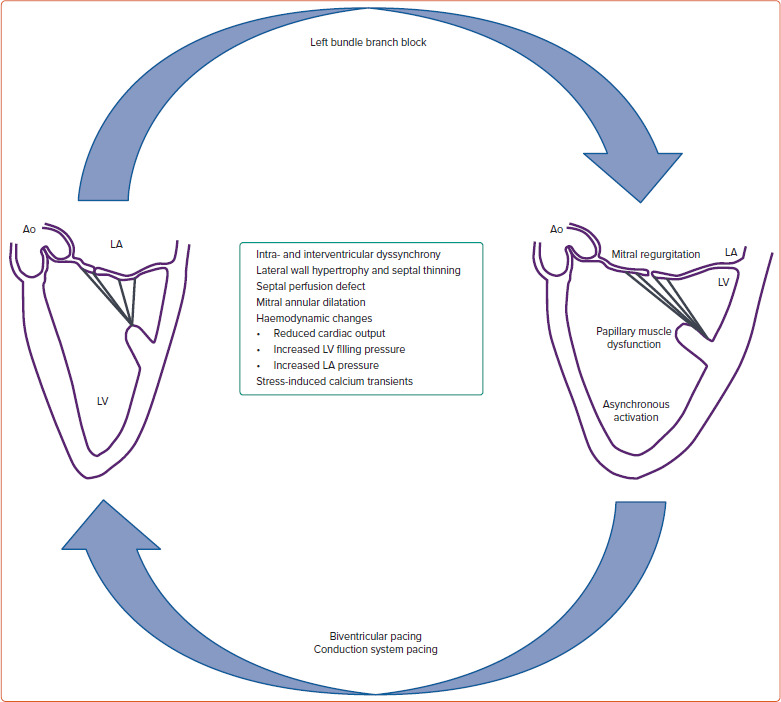 Figure 3: