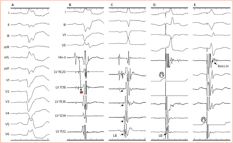 Figure 2: