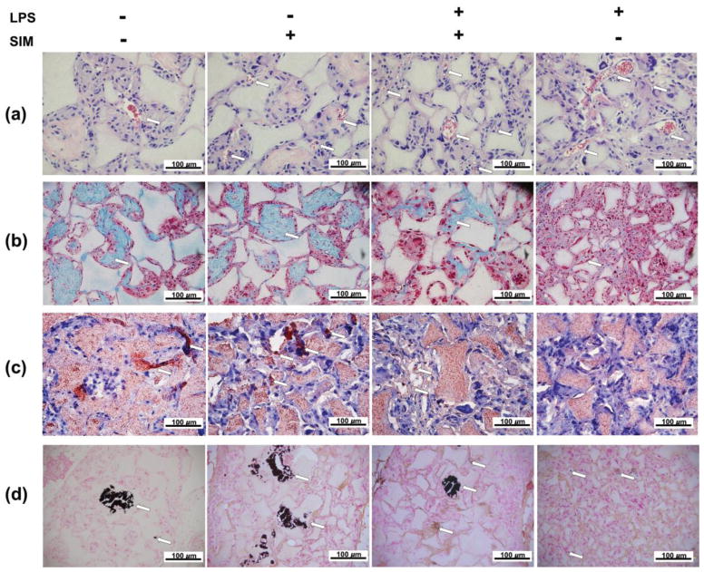 Fig. 11