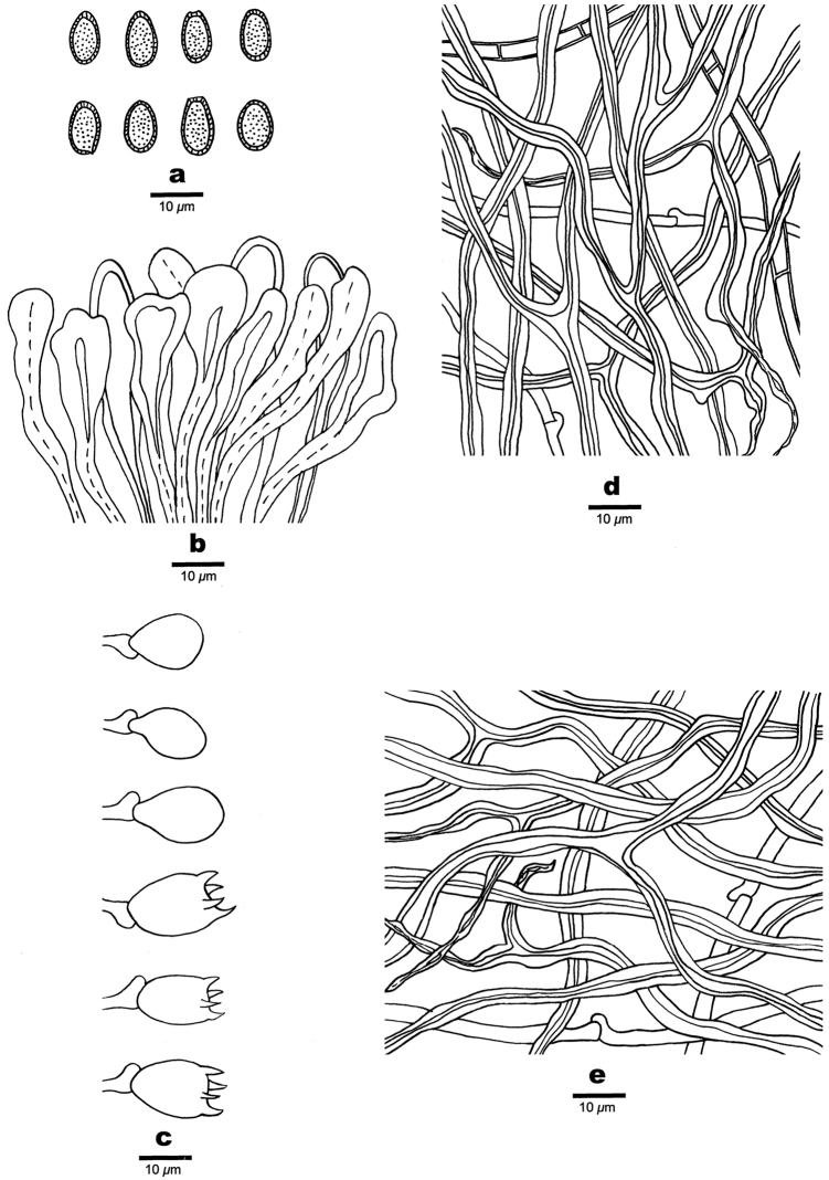 Figure 4.