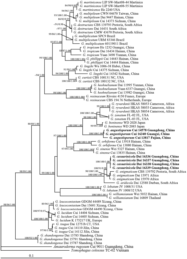 Figure 1.