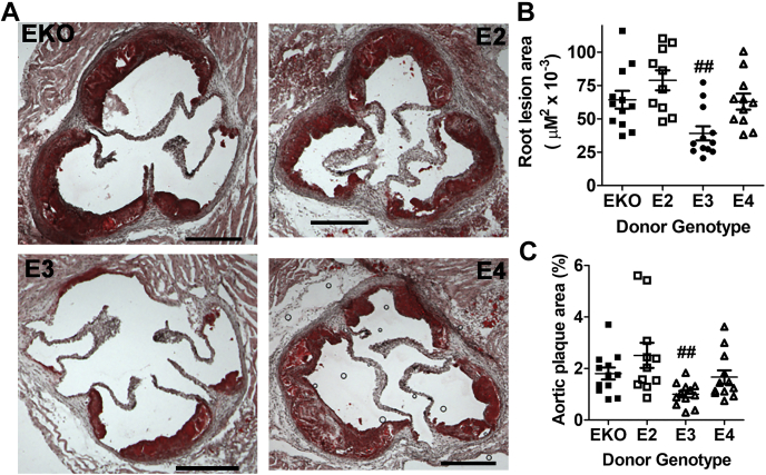 Figure 10