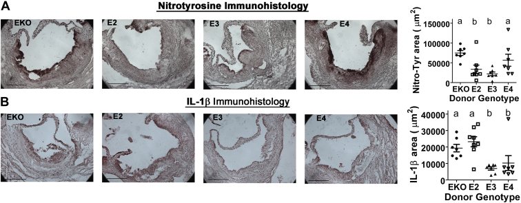 Figure 12