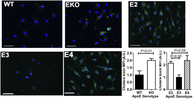 Figure 5