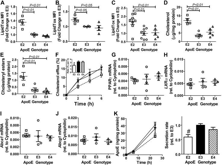 Figure 4