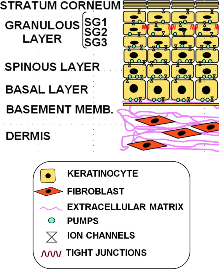 Figure 1.