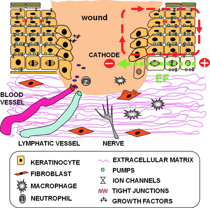 Figure 3.