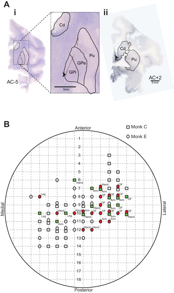 Fig. 1.