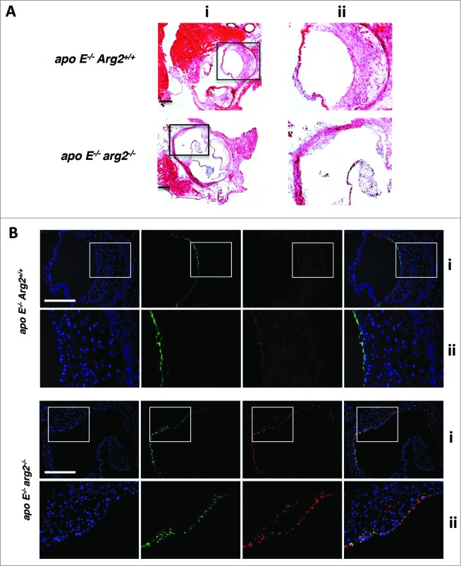 Figure 9.