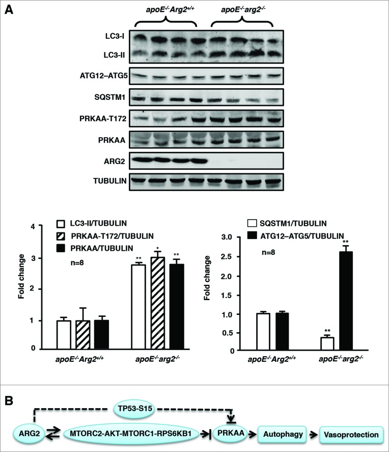 Figure 10.