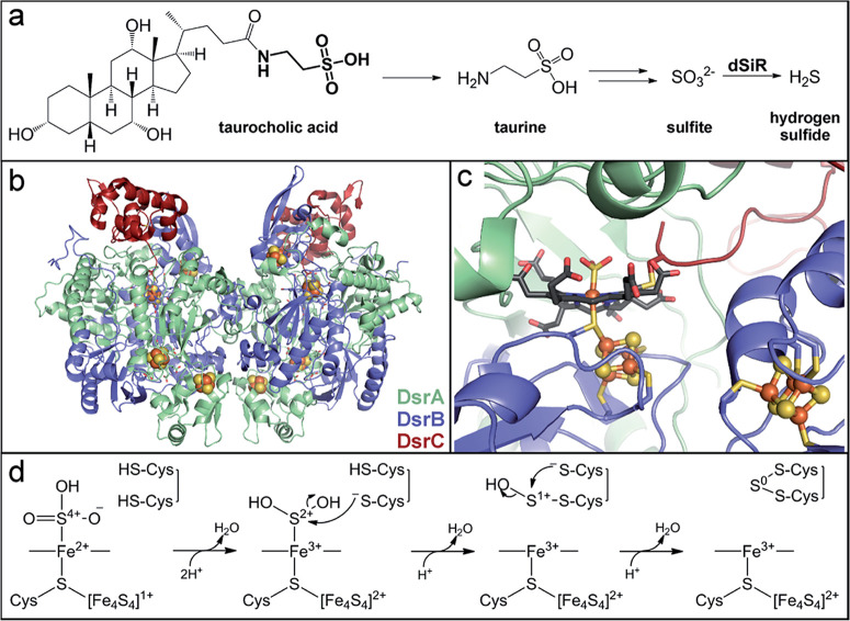 Fig. 10