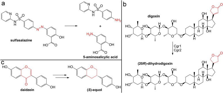 Fig. 11