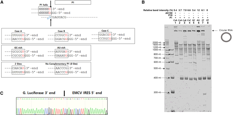 Figure 4