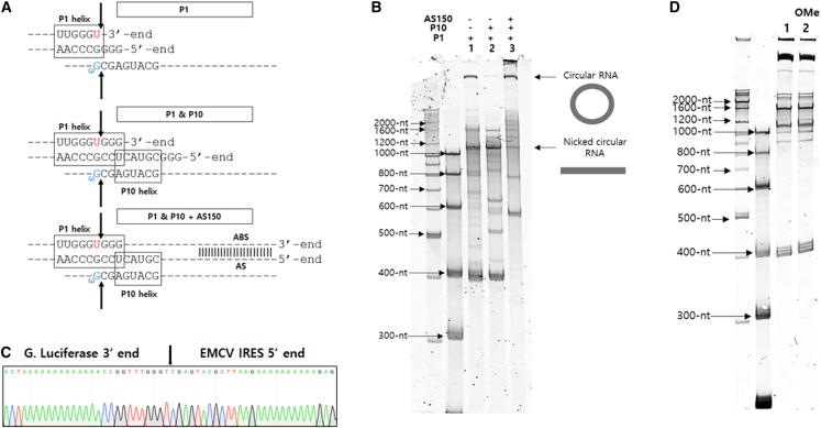 Figure 3