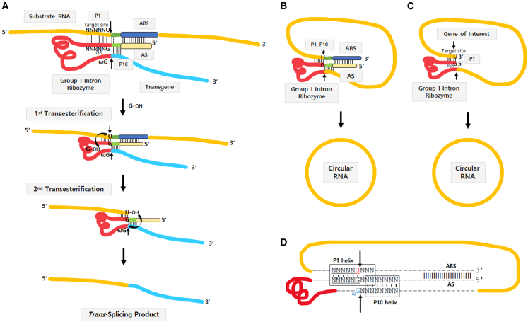 Figure 1