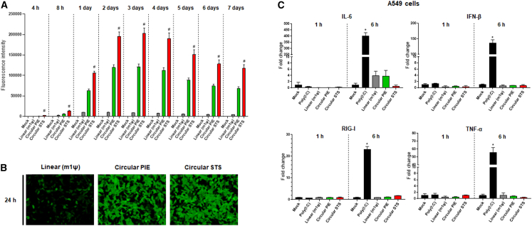 Figure 6