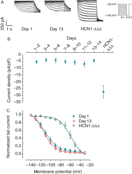 Figure 3