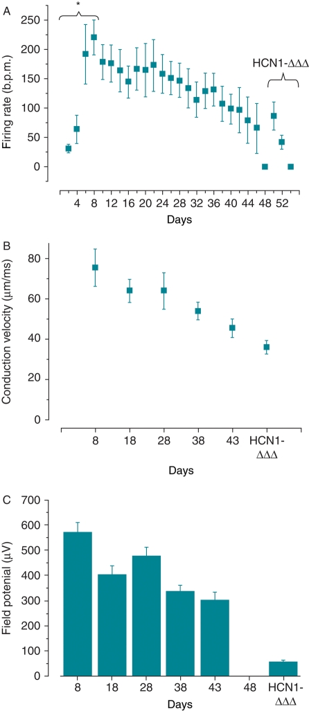 Figure 6