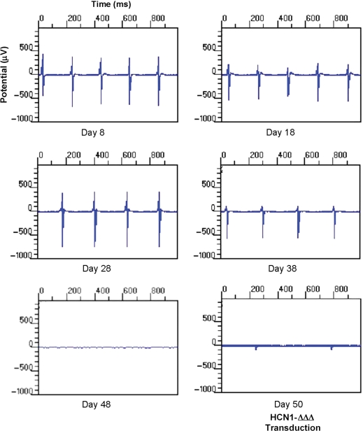 Figure 7