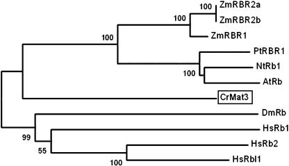 Figure 11.