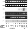 Figure 13.