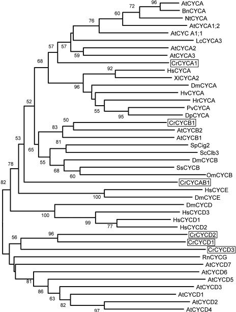 Figure 5.