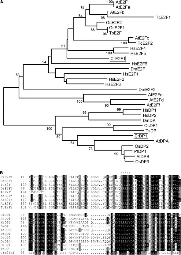 Figure 12.