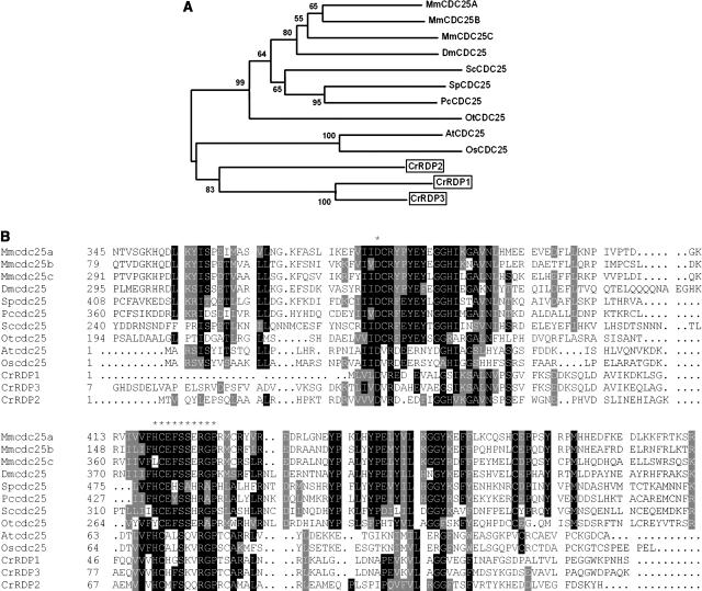 Figure 10.