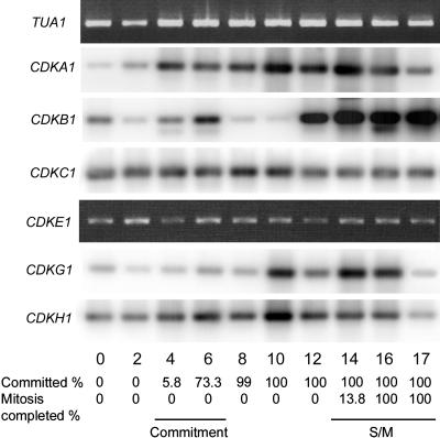 Figure 4.