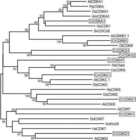 Figure 3.