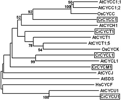 Figure 6.