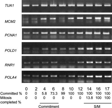 Figure 14.