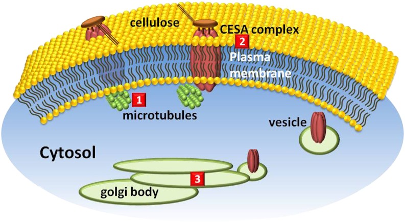 Figure 6.