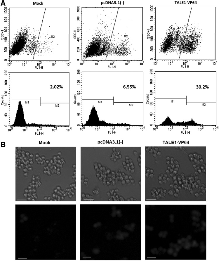 FIG. 3.