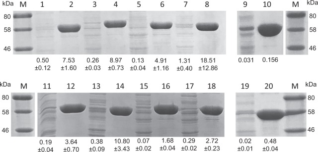 Fig. 3