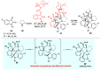 Scheme 15