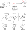 Scheme 24