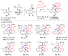 Scheme 12