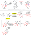 Scheme 20