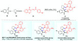 Scheme 7