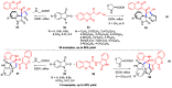 Scheme 8