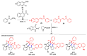 Scheme 6