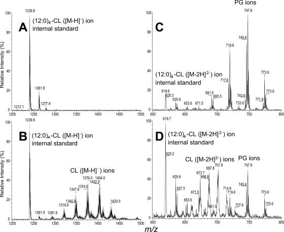 FIG. 2.