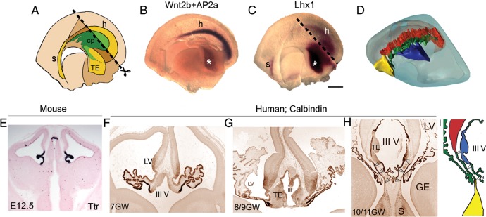 Figure 2.