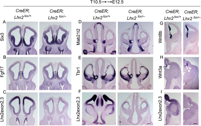 Figure 6.