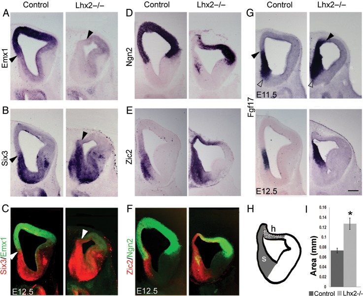 Figure 3.